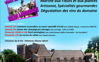 JOURNÉES FLEURS ET JARDINS – 10ème ANNIVERSAIRE 2019  A PERDIGUIER