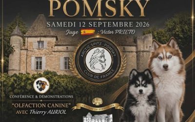 Exposition de Pomsky au Château de Perdiguier samedi 12 septembre